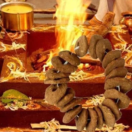 cow dung badkulle for holi special (11 pieces) desi cow fuel + manure (1kg) cow dung badkulle for holi special (11 pieces) desi cow fuel + manure (1kg)