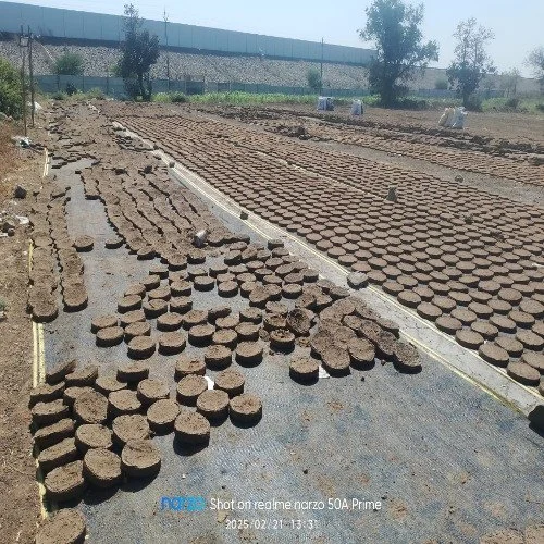 manure cow dung cake (8 inch, 1 inch thick) manure cow dung cake (8 inch, 1 inch thick)