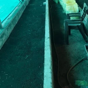 organic vermicompost fertilizer