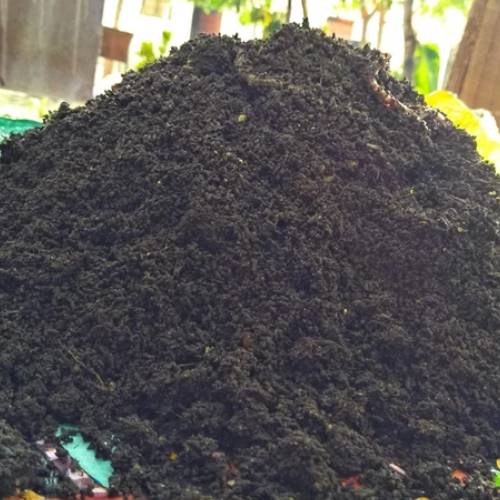 Products vermi compost